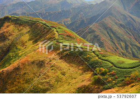 越後駒ヶ岳山頂から中ノ岳への縦走路 越後駒ヶ岳山頂から中ノ岳への縦走路 53792607