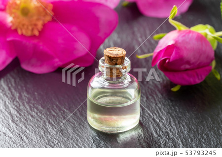 A bottle of essential oil with fresh Rugosa roses A bottle of essential oil with fresh Rugosa roses 53793245