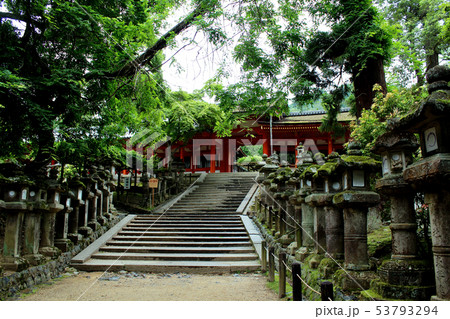 【奈良】春日大社　石灯篭と南門 53793294