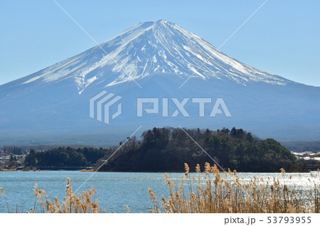 河口湖と富士山 河口湖と富士山 53793955