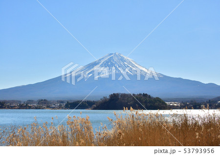 河口湖と富士山 河口湖と富士山 53793956