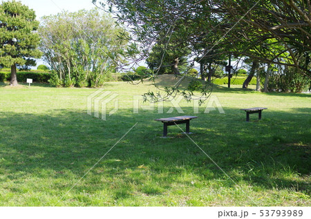 公園のベンチ 公園のベンチ 53793989