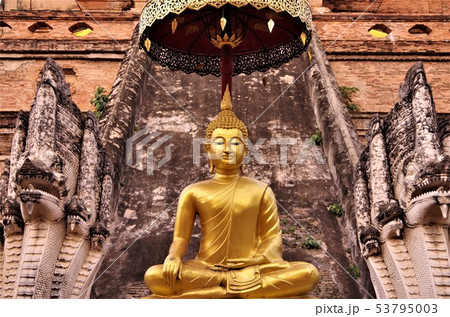 黄金色に輝くタイ仏教寺院の仏像 【タイ・チェンマイ】 53795003