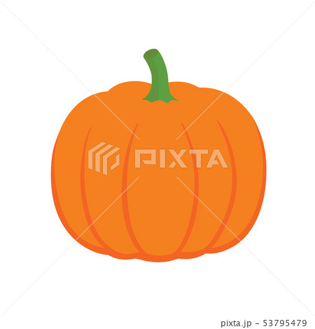 Orange pumpkin vector illustration. Autumn halloween pumpkin, vegetable graphic icon or print 53795479