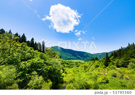 宮城 鬼首高原の新緑と渓流と雲 宮城 鬼首高原の新緑と渓流と雲 53795560