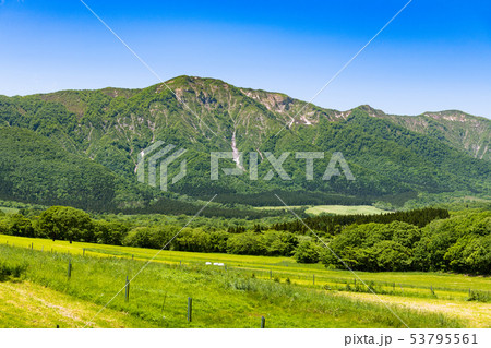 宮城 禿岳と禿高原の牧場 宮城 禿岳と禿高原の牧場 53795561