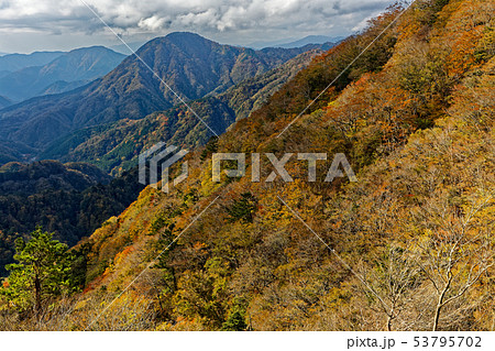 丹沢山地・檜洞丸から犬越路への稜線から見る紅葉の山並み 丹沢山地・檜洞丸から犬越路への稜線から見る紅葉の山並み 53795702