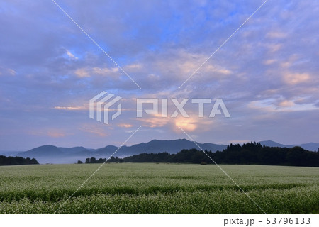 朝焼け雲に花咲くソバ畑と南会津の山々 朝焼け雲に花咲くソバ畑と南会津の山々 53796133