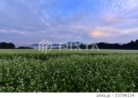 朝焼け雲に花咲くソバ畑と南会津の山々 53796134
