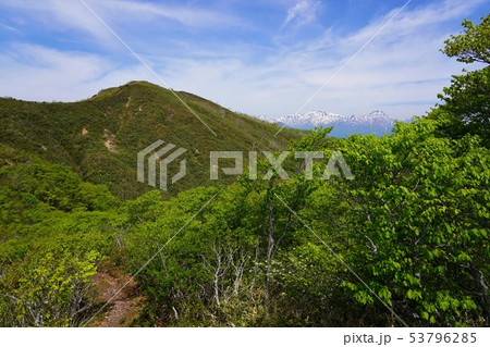 大日ヶ岳と白山 大日ヶ岳と白山 53796285