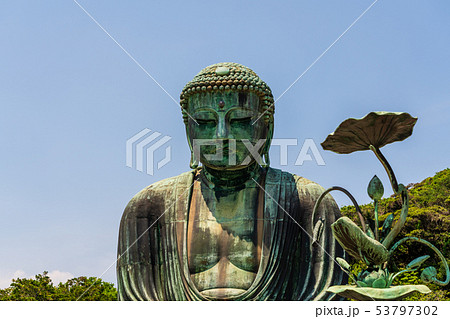 鎌倉 大仏 高徳院 鎌倉 大仏 高徳院 53797302