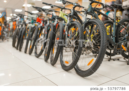 Rows of mountain bicycles in sports shop, nobody 53797786