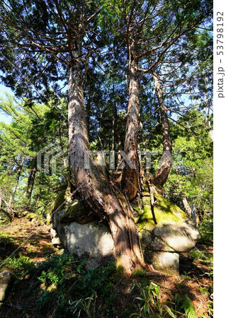 位山の天ノ岩戸 53798192