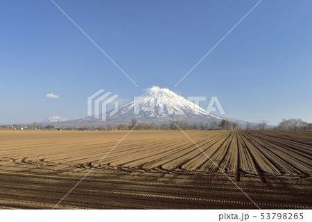 羊蹄山と畑 羊蹄山と畑 53798265