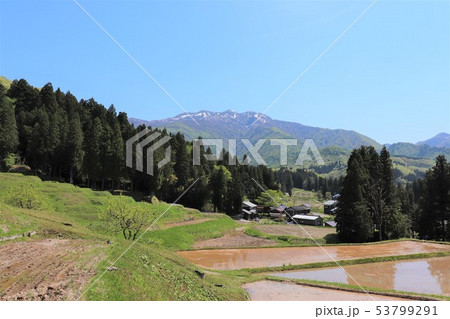 北五百川の棚田（新潟県三条市） 53799291