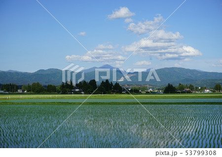 田んぼから見える早池峰山 53799308