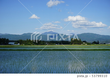 田んぼから見える早池峰山 田んぼから見える早池峰山 53799310