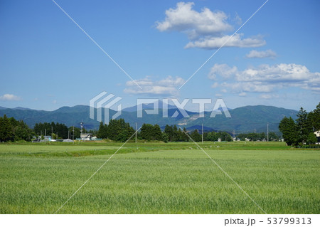 田んぼから見える早池峰山 53799313