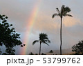 マウイ島のレインボー 53799762