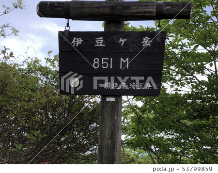 伊豆ヶ岳山頂 伊豆ヶ岳山頂 53799859