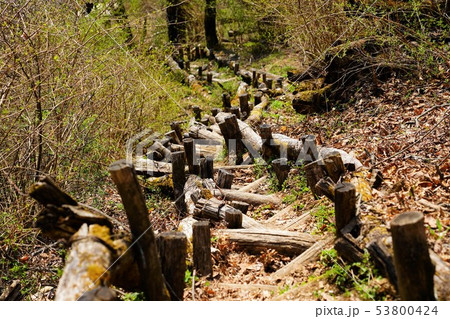 鉢伏山登山道の階段 53800424