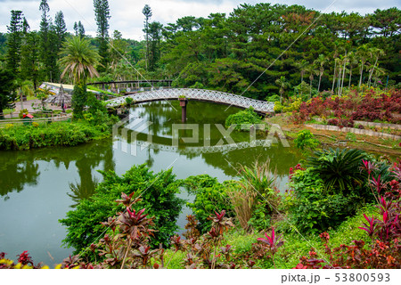 沖縄　東南植物楽園　水上楽園の池 53800593