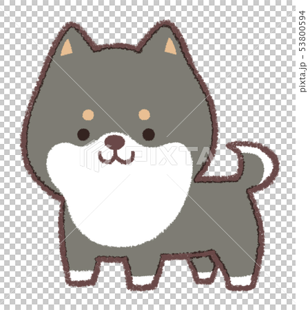 黒柴犬子犬立ち 53800594