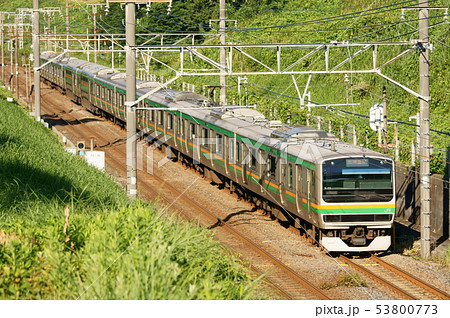 E231系　東海道本線　普通・東京行き 53800773