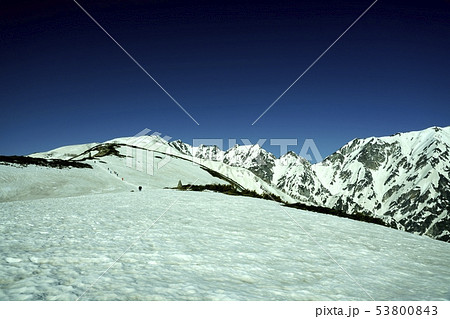 唐松岳から不帰嶮の稜線。　撮影地：白馬、八方尾根 53800843