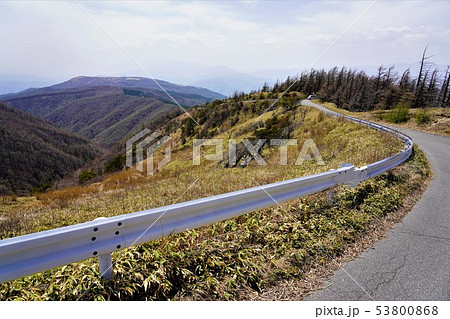 鉢伏山から高ボッチ山への稜線 53800868