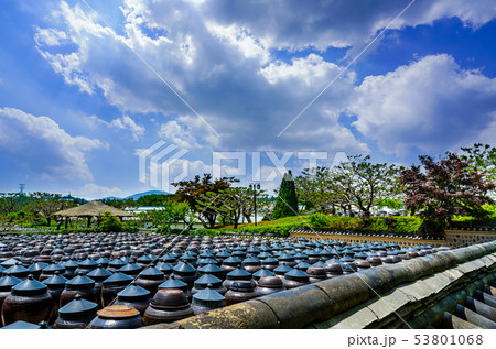 甕 伝統 ソイル農園 53801068