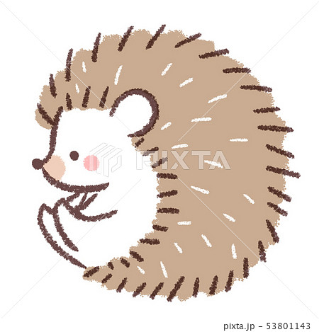Hedgehog Sitting Stock Illustration