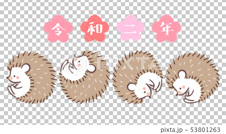 Hedgehog-Royal Hedgehog-Royal 53801263