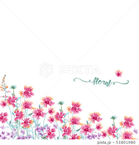 透明水彩 水彩画 花 53801980