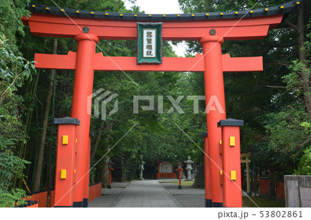 熊野速玉大社 熊野速玉大社 53802861
