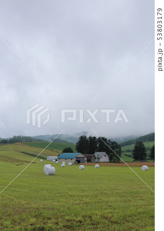 北海道 富良野地方の農村風景 北海道 富良野地方の農村風景 53803179