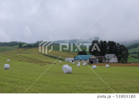 北海道　富良野地方の農村風景 53803180