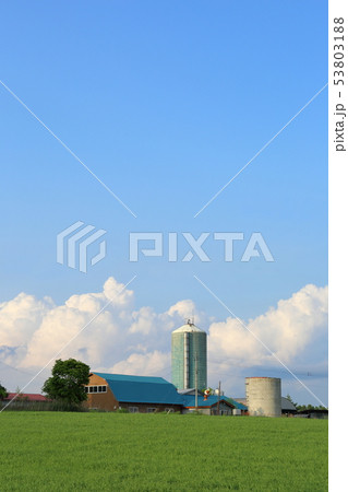 北海道　十勝地方　牧場のある風景 53803188