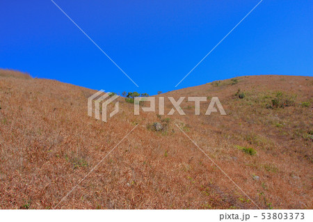 11 Jan 2009  Ma On Shan Country Park hk 53803373