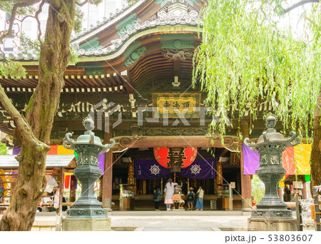 西国三十三所 十八番 頂法寺 53803607