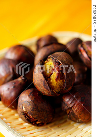 焼き栗 焼き栗 53803952