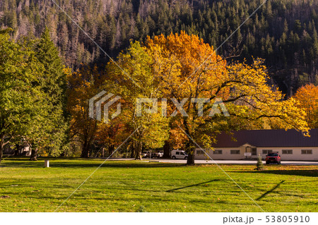 Park and green area around Skagit Information Center in Newhalem 53805910
