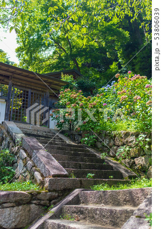 奈良県　長谷寺 53806039