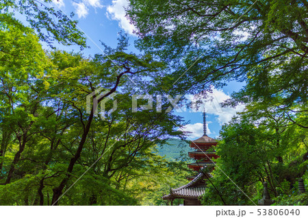 奈良県　長谷寺　五重塔 53806040