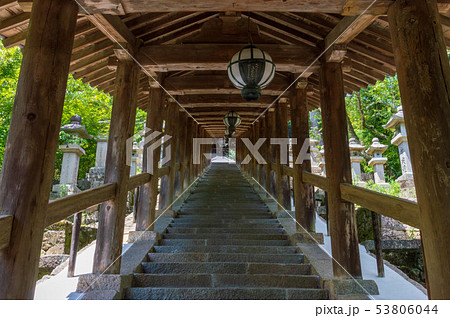 奈良県　長谷寺　階段　登廊 53806044