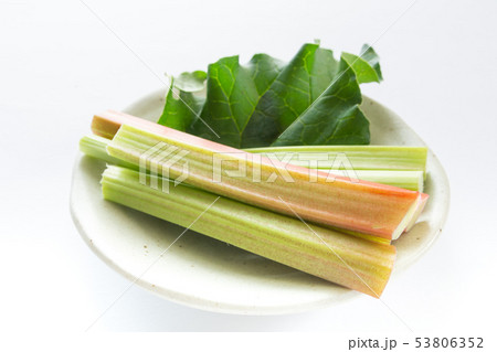 ルバーブ ルバーブ 53806352