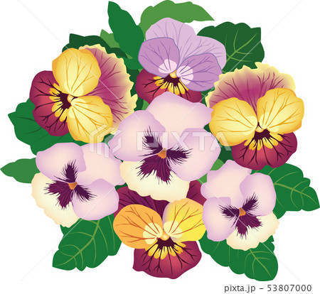 Flower bouquet. Floral frame. greeting card decor 53807000