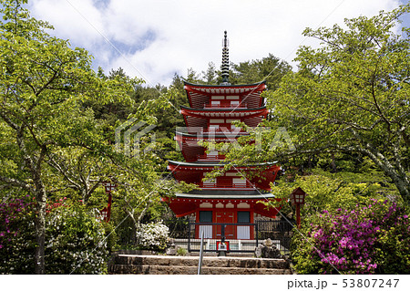 新倉山浅間公園（初夏） 53807247