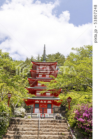 新倉山浅間公園（初夏） 53807248