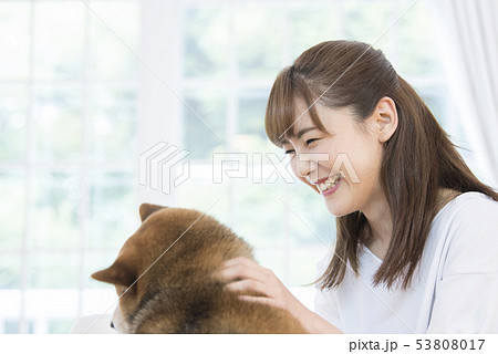 柴犬と若い女性 53808017